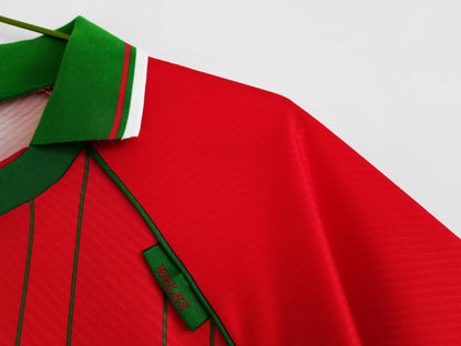 1994–96 Season: Wales Home Ground