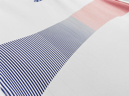 2006 Season France Away Matches