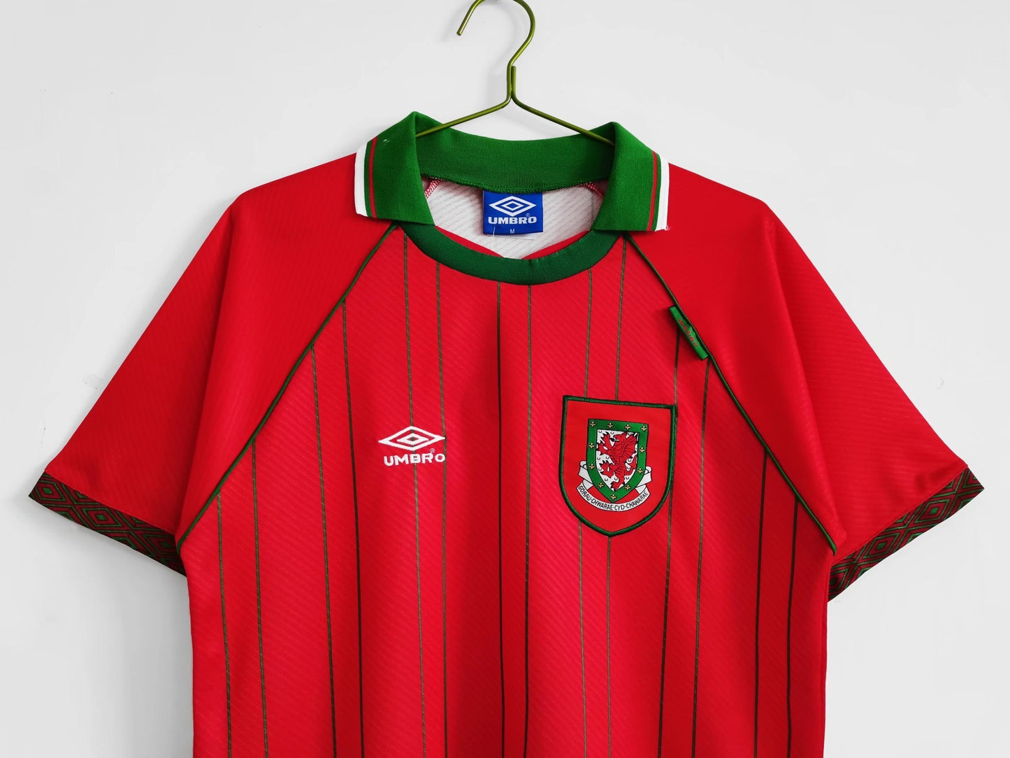 1994–96 Season: Wales Home Ground