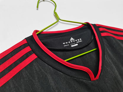 2010 Season Mexico Away Matches