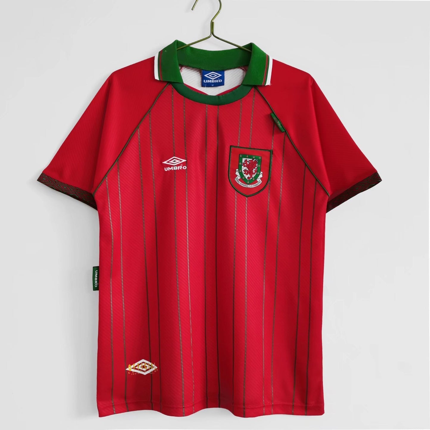 1994–96 Season: Wales Home Ground