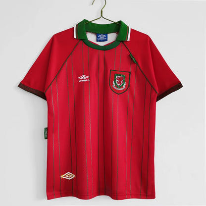 1994–96 Season: Wales Home Ground