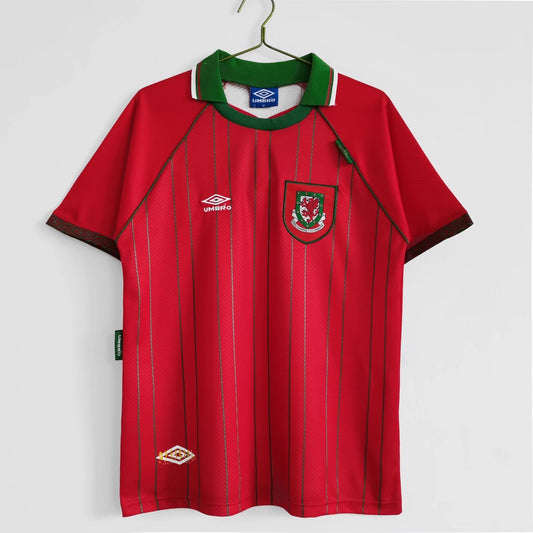 1994–96 Season: Wales Home Ground