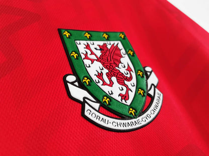 1992–94 Season Wales Home
