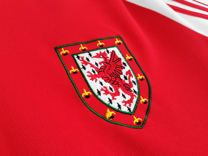 1982 Season Wales Home Ground