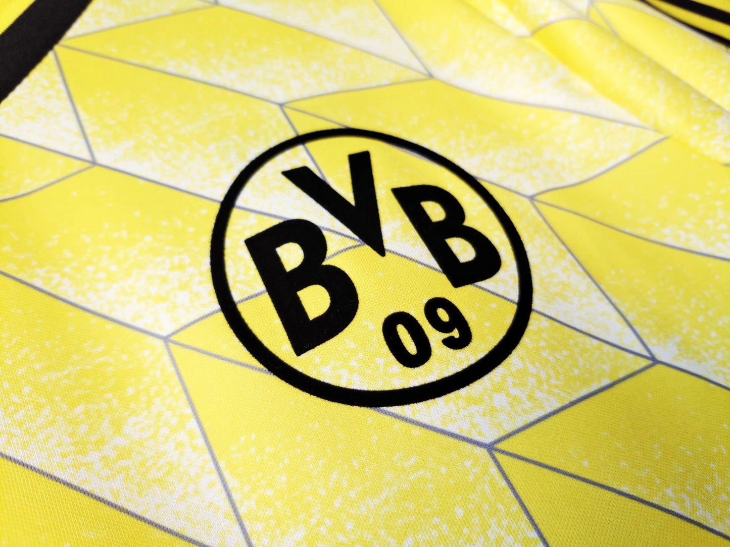 Borussia Dortmund Home Matches, 1988 Season
