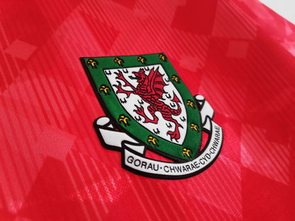 1990–92 Season: Wales Home Ground